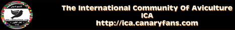 The International Community Of Aviculture - (ICA)